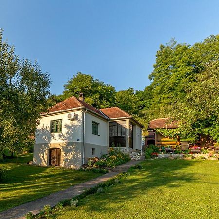 Rusticna Kuca Crvena Stena U Blizini Kucice Na Drini Bajina Basta Exterior foto